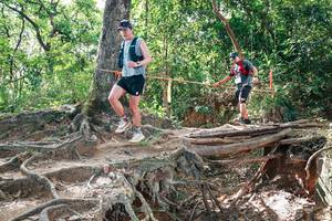 BIB: 
                            <button type="button" onclick="openModal(27719845)" class="btn btn-primary btn-sm float-right btn-popup" data-toggle="modal" data-target=".modal-high-quality">
                        <i class="fas fa-shopping-cart"></i> Add to Cart
                    </button>
                                            <button type="button" onclick="isThisMe(27719845, true)" class="btn btn-success btn-sm float-right btn-popup btn-isme hidden" data-toggle="tooltip" data-placement="bottom" title="นี่คือรูปของคุณใช่ไหม คลิกที่นี่เพื่อเอาเข้าอัลบั้ม">
                        <i class="fas fa-plus"></i> Add to album
                    </button>
                    <button type="button" onclick="isThisMe(27719845, false)" class="btn btn-warning btn-sm float-right btn-popup btn-isnotme hidden">
                        <i class="fas fa-ban"></i> Remove from album
                    </button>